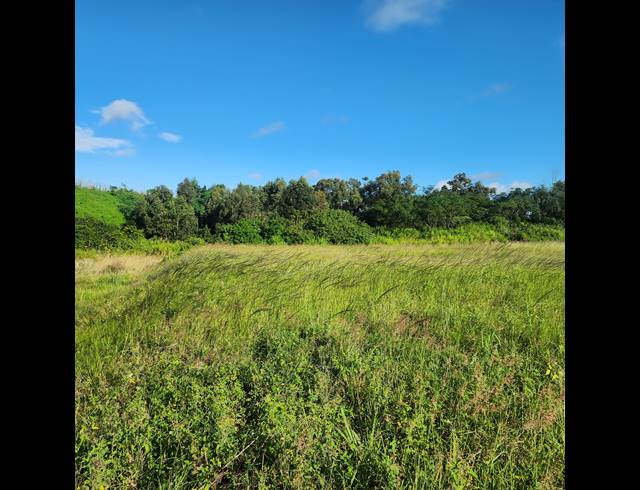 6,778M² VACANT LAND FOR SALE IN MOUNT MORELAND